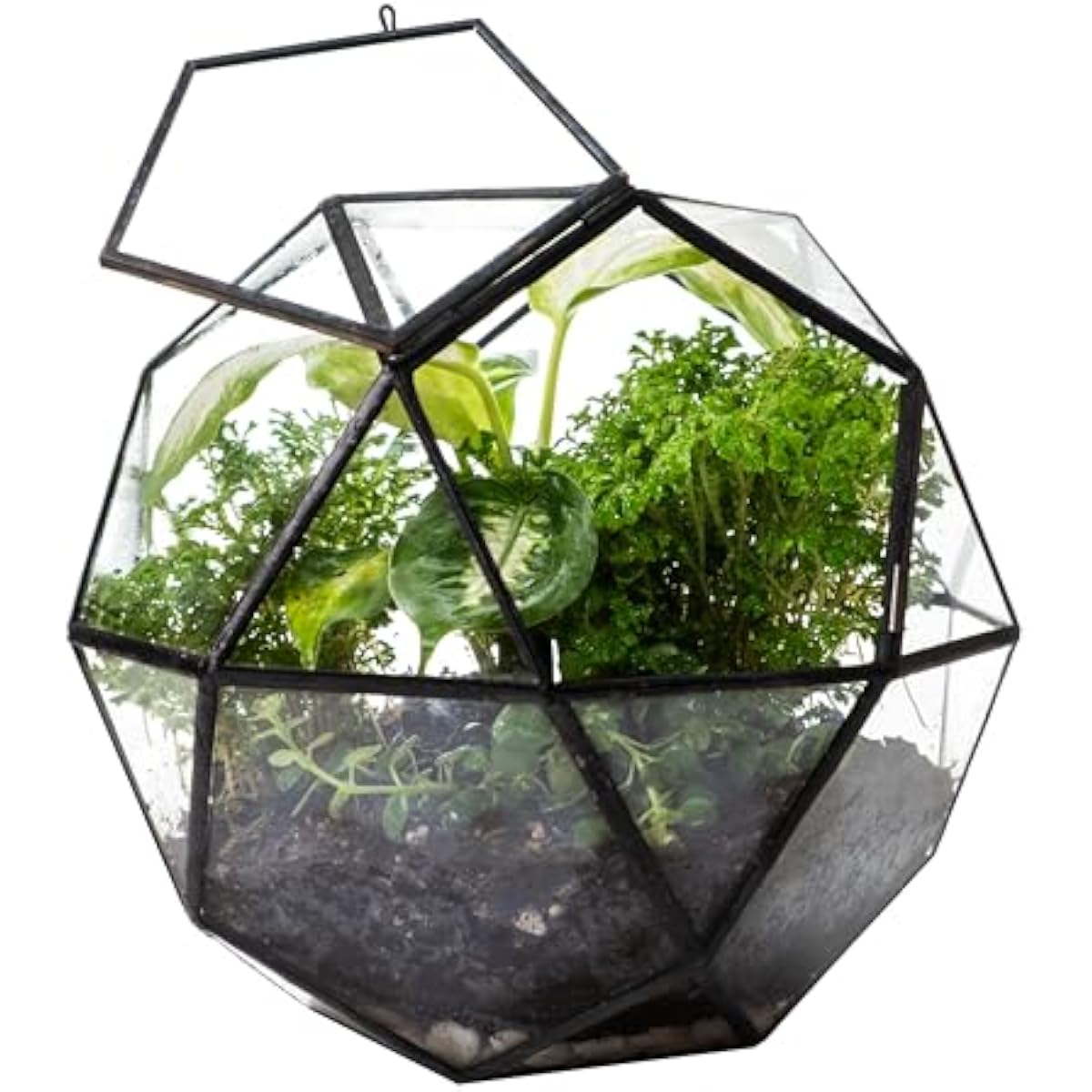 Glass Door Hinge - Geometryczny terrarium w kształcie kuli z