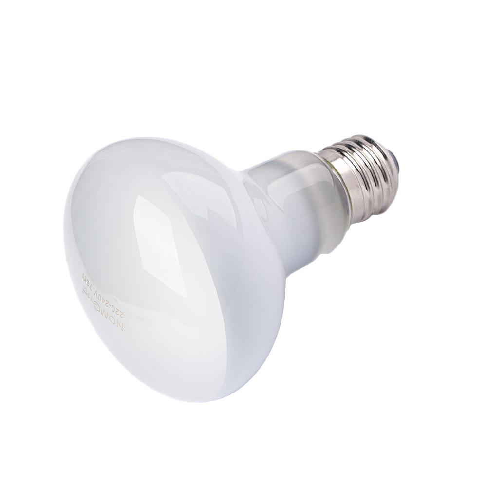 Regulator temperatury do grzej – Basking Bulb Halogen recenzja i cena