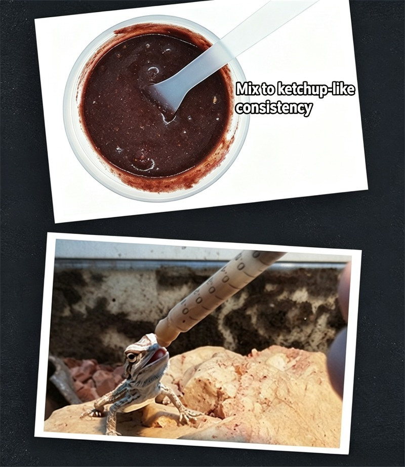 Karmy dla gadów, pasty owocowe – Calcium Powder Reptile recenzja i cena