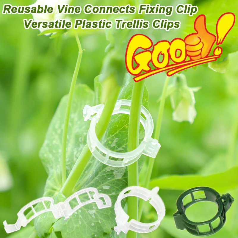 Wielokrotnego użytku winorośli – Vine Climbing Plastic recenzja i cena
