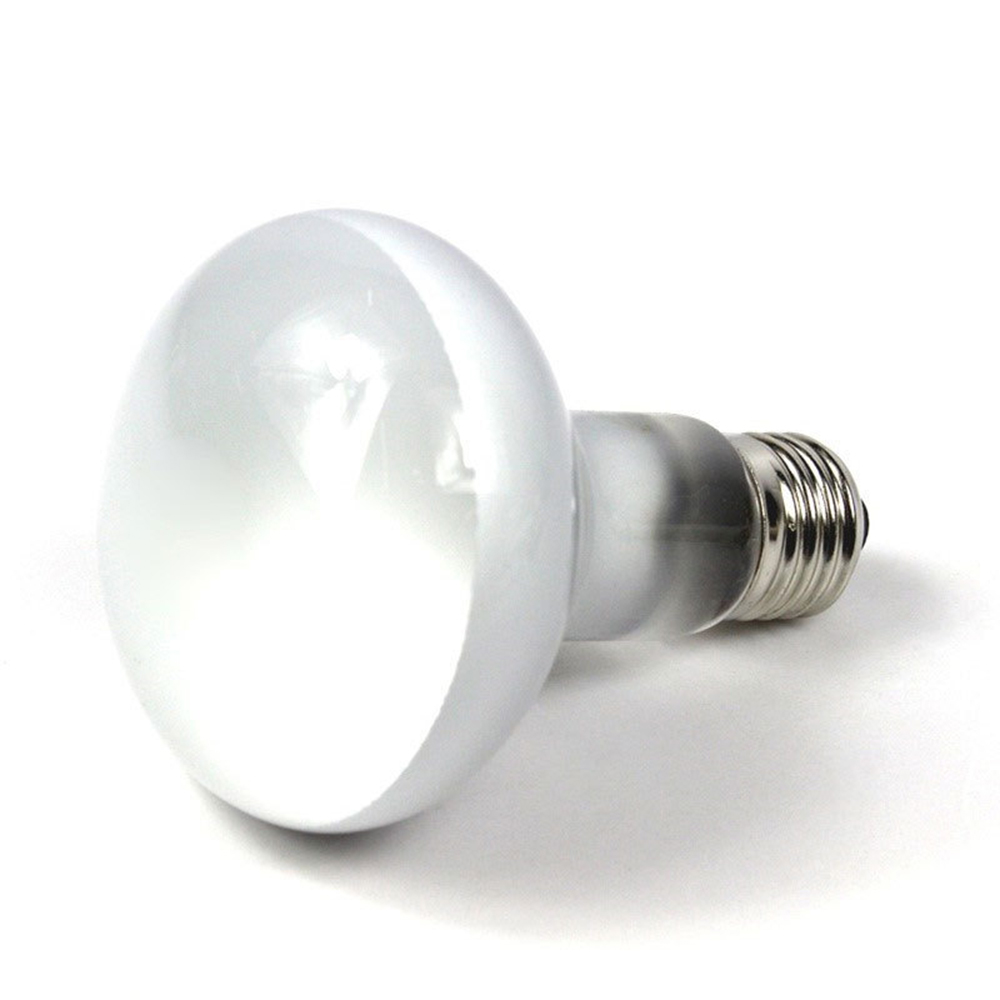Lampa grzewcza dla żółwi, grze – Basking Bulb Halogen recenzja i cena