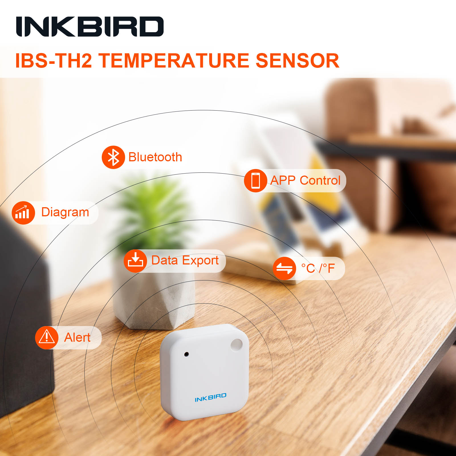 INKBIRD IBS-TH2 Bluetooth magn – Digital Hygrometer Probe recenzja i cena